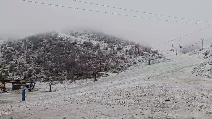 WhatsApp Video 2024-03-19 at 08.29.05