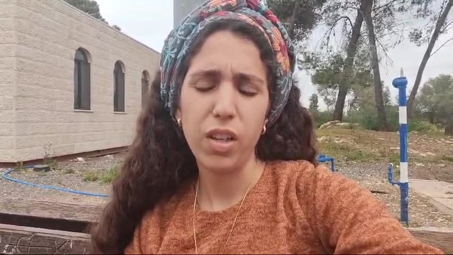 טל תמרי