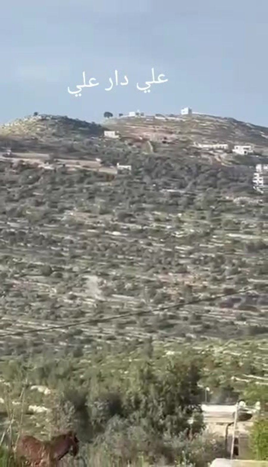 WhatsApp Video 2024-03-22 at 08.06.14
