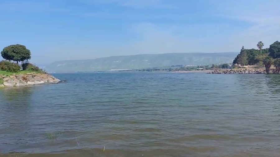 WhatsApp Video 2024-03-25 at 12.10.50