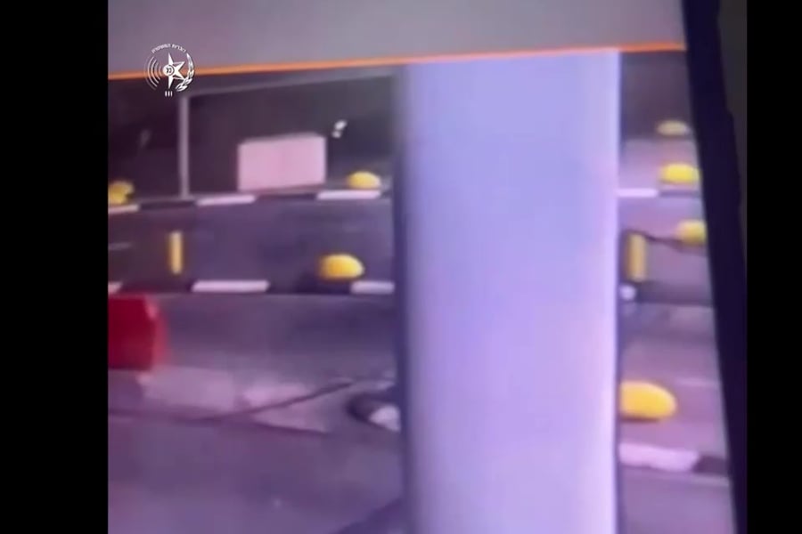 video5794240606943319520