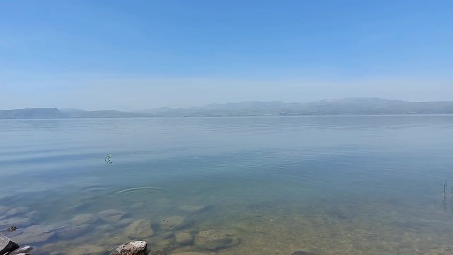 WhatsApp Video 2024-04-03 at 10.04.12 AM