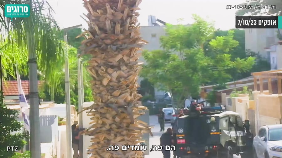 אליאב11