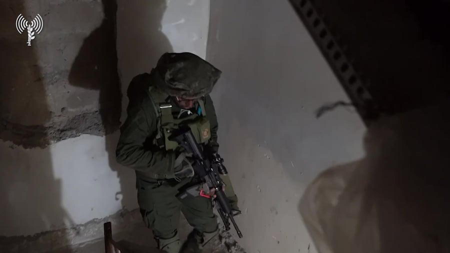 פעילות הכוחות