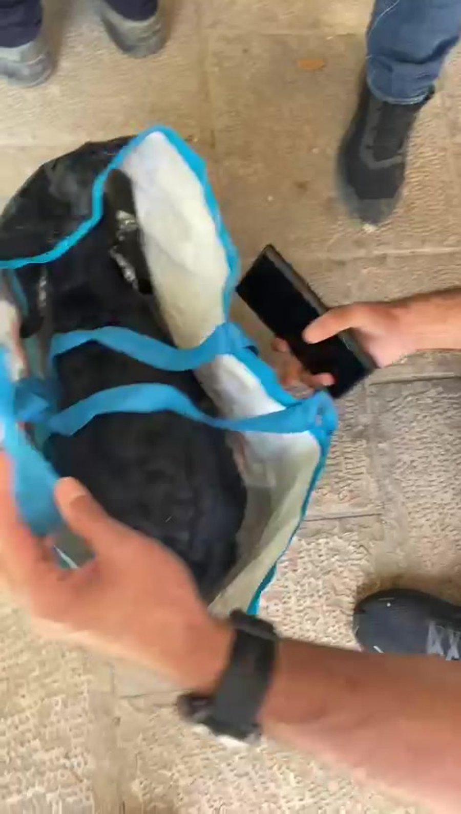 video5852985559005270605