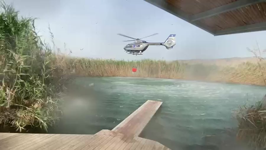 video5886315493064709508