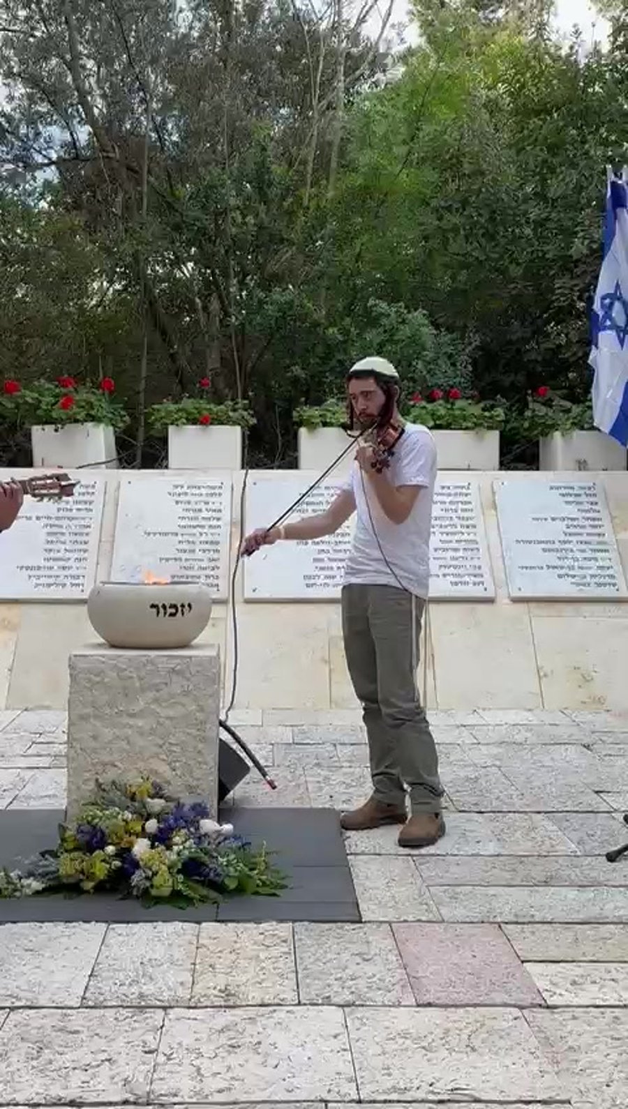 הדסה