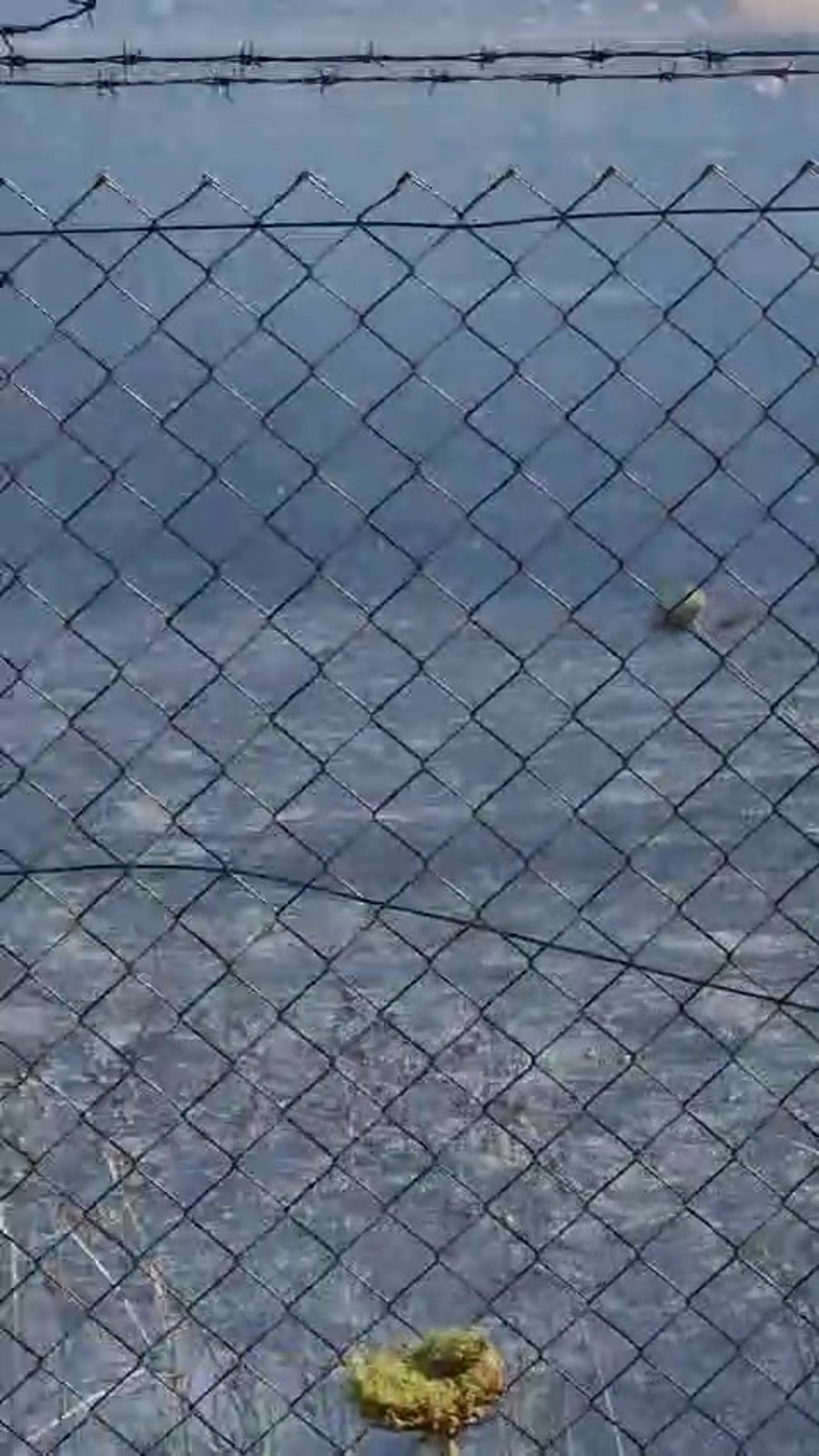 WhatsApp Video 2024-05-21 at 17.21.13 (1)