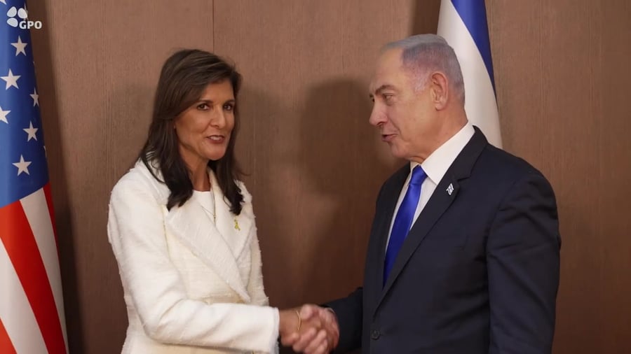 היילי