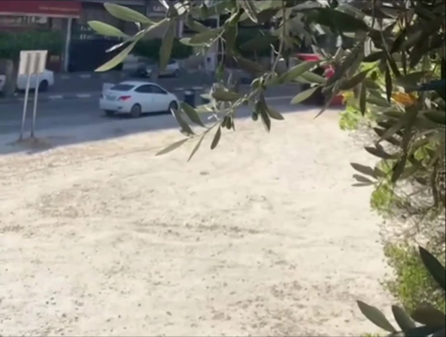 WhatsApp Video 2024-05-30 at 15.24.23