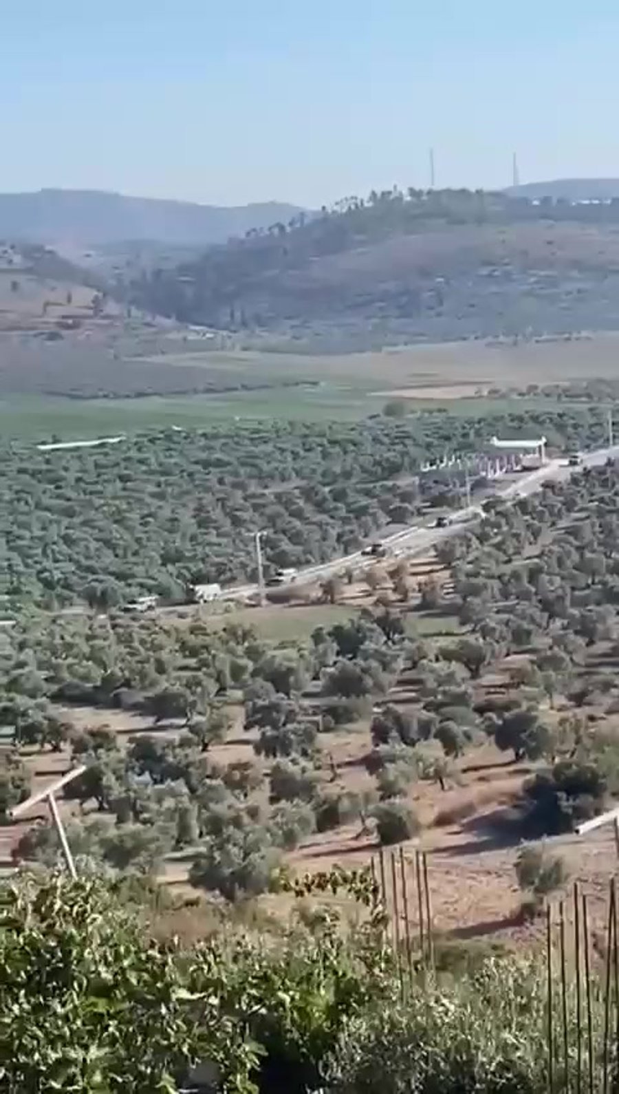 WhatsApp Video 2024-06-11 at 17.40.04