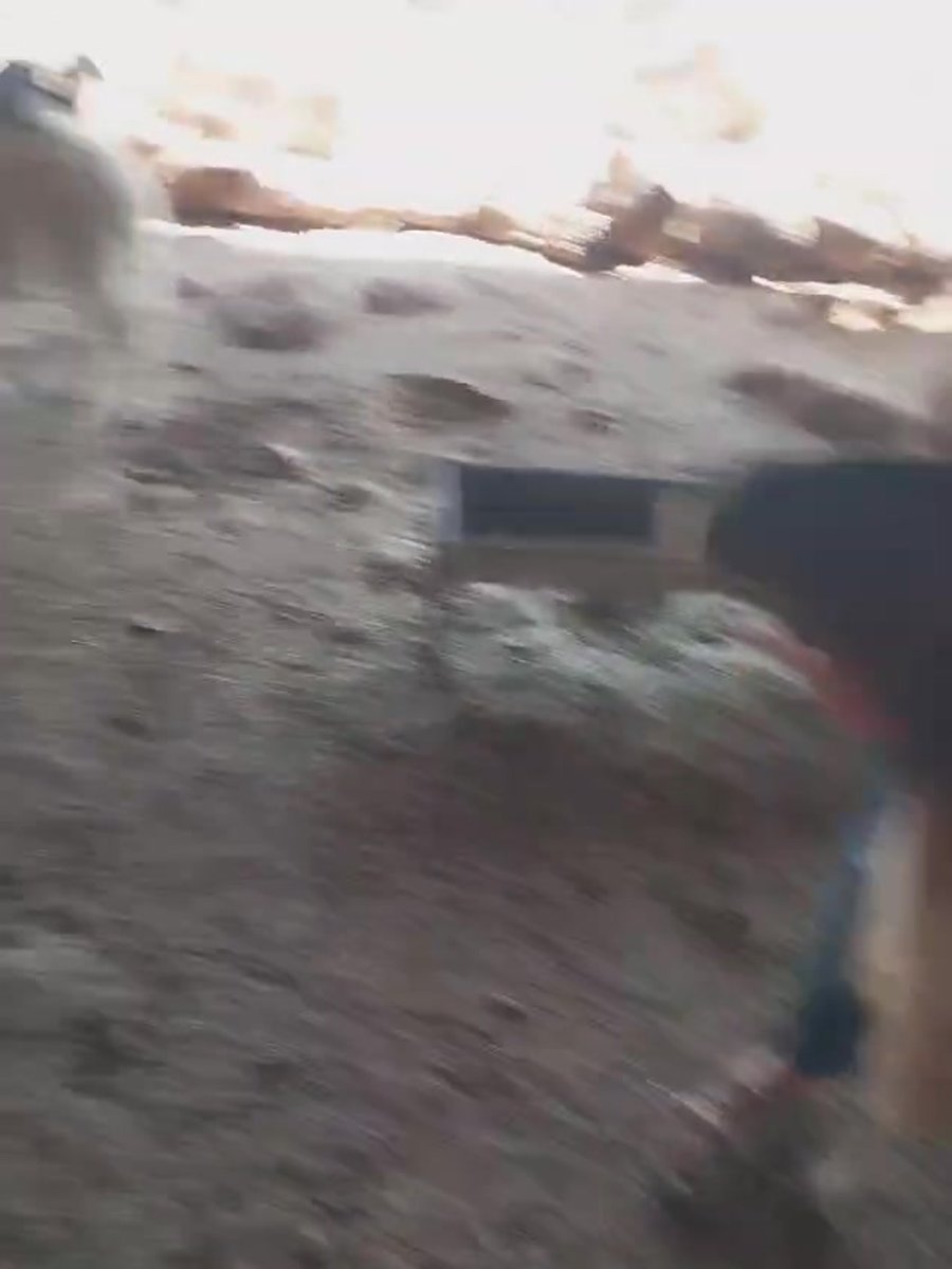 גניבת עדר בבקעה (2)