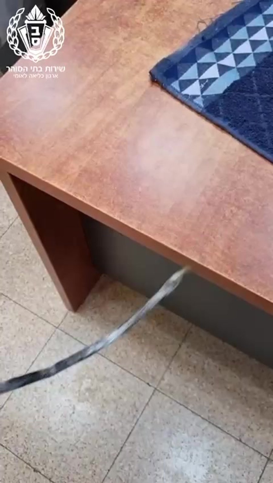 video_2024-07-01_08-29-04