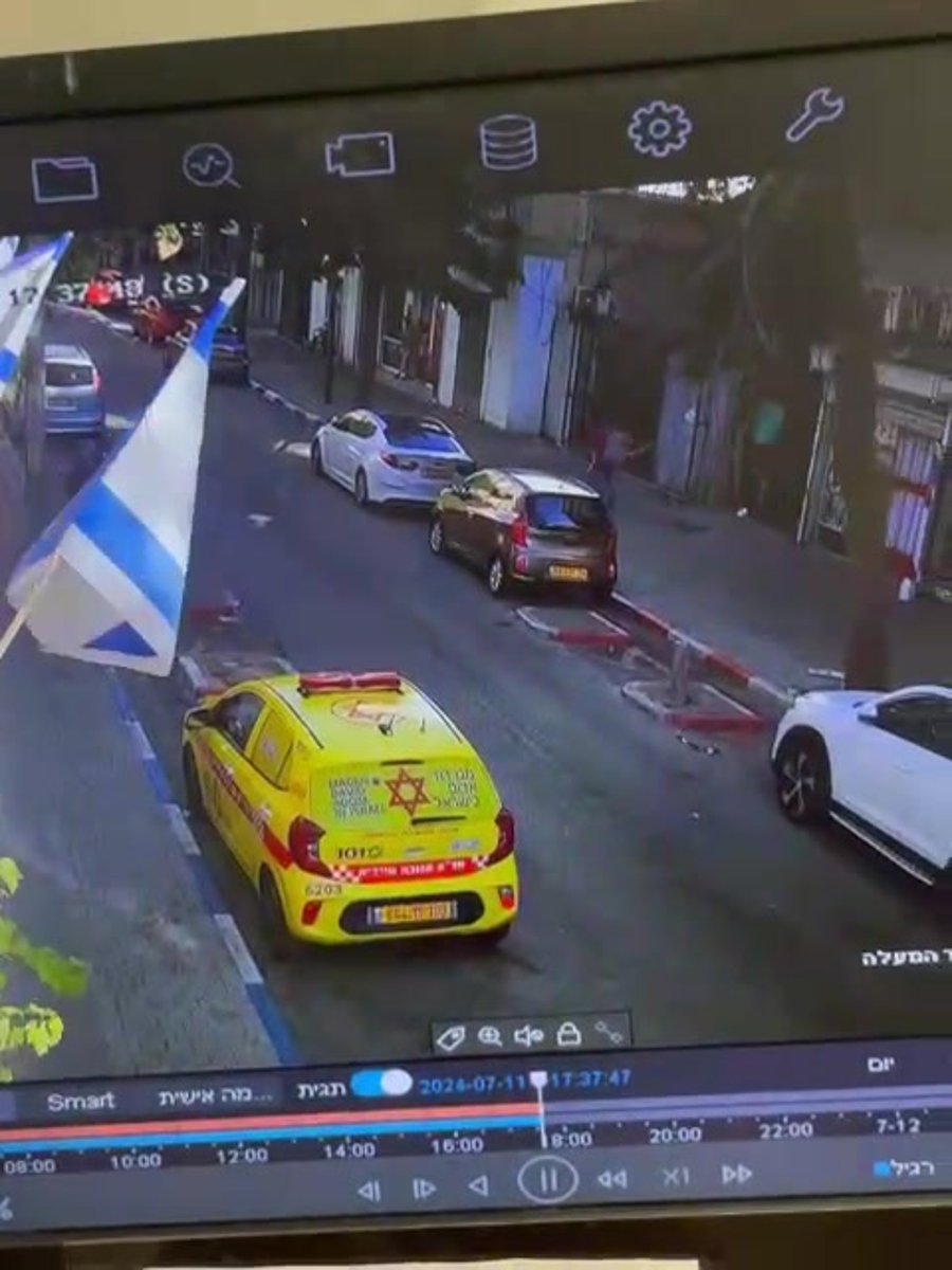 עץ על רכב מדא (1)