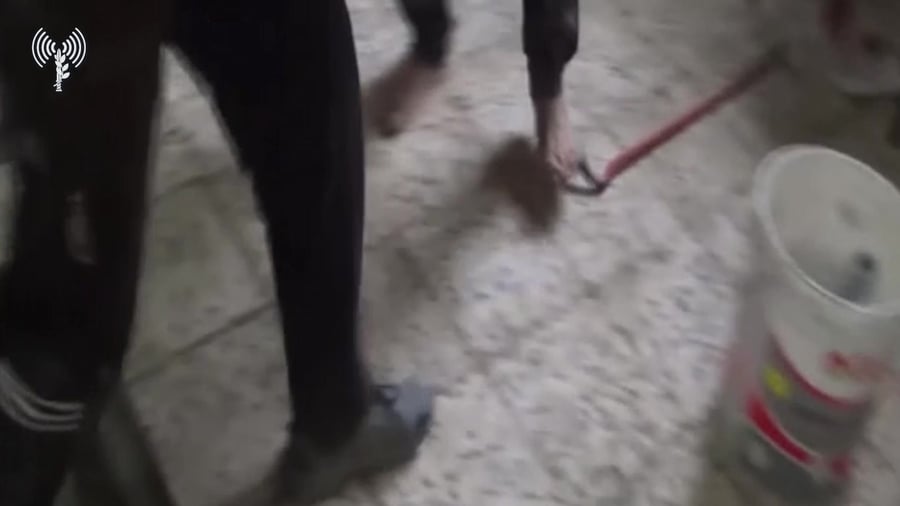 חשיפת פיר טרור