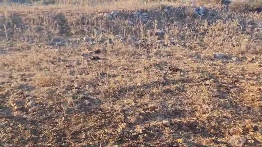 video5830244484562032143