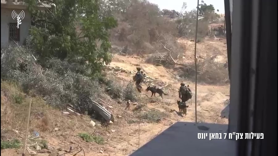 פעילות צקח 7