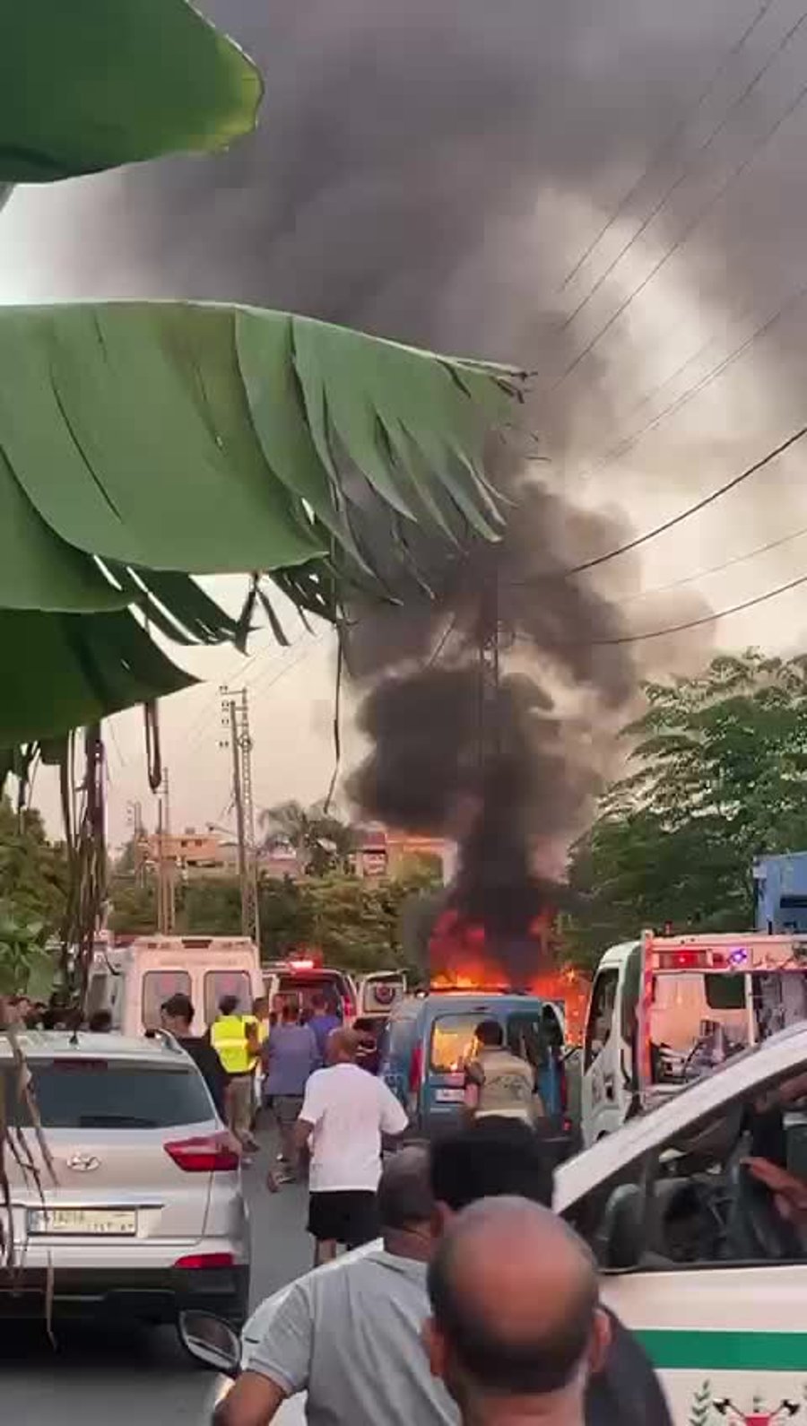 WhatsApp Video 2024-08-19 at 19.15.11