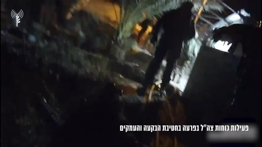 פרעה