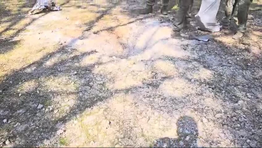 WhatsApp Video 2024-09-24 at 15.24.23
