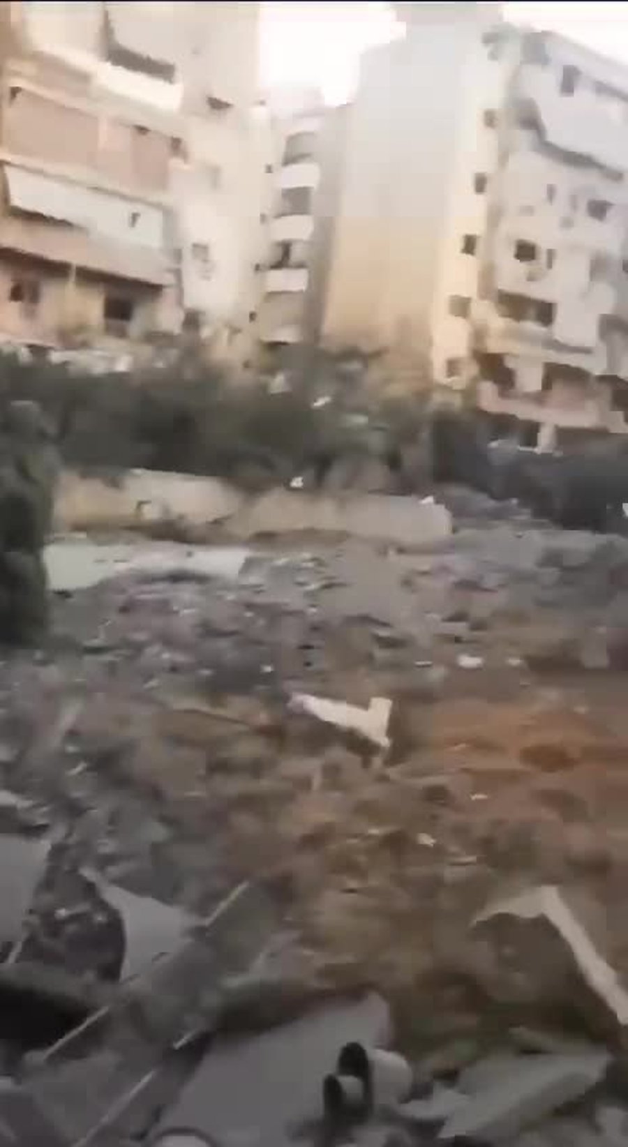 WhatsApp Video 2024-09-28 at 19.31.47