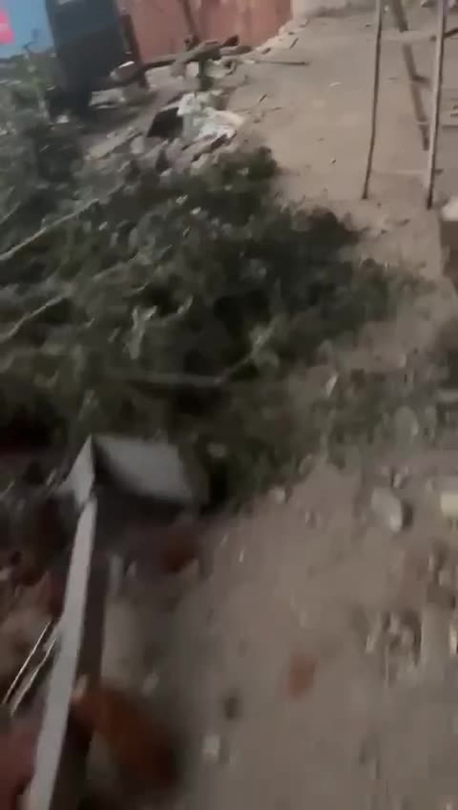 WhatsApp Video 2024-09-29 at 11.58.57