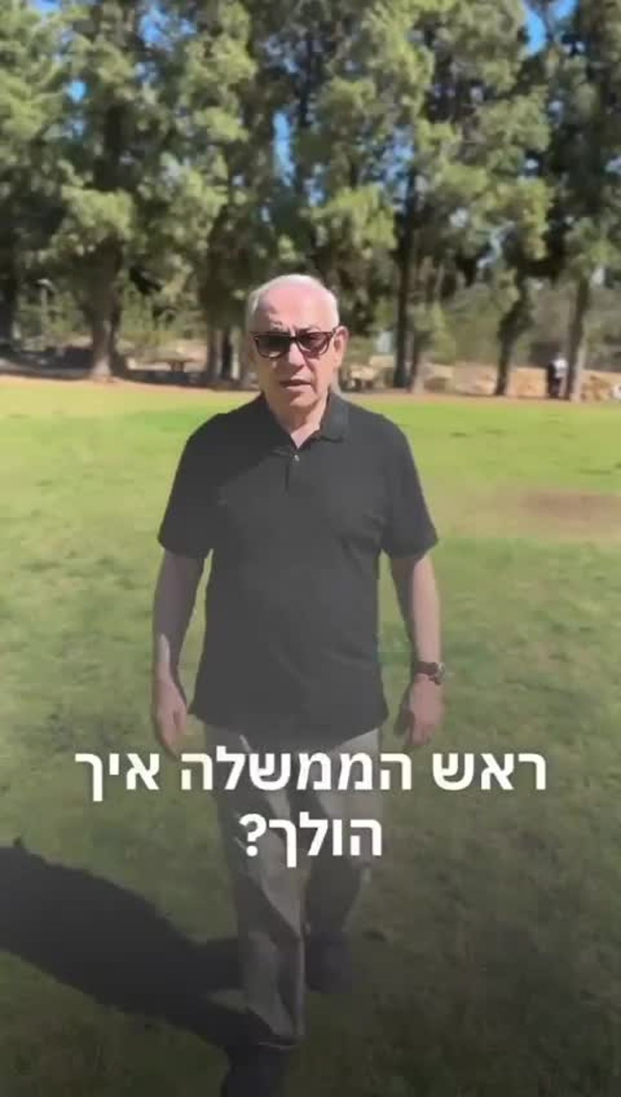 WhatsApp Video 2024-10-19 at 18.56.12