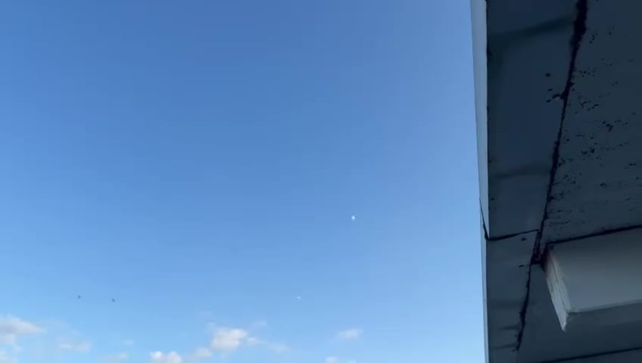 video5242539241589723798