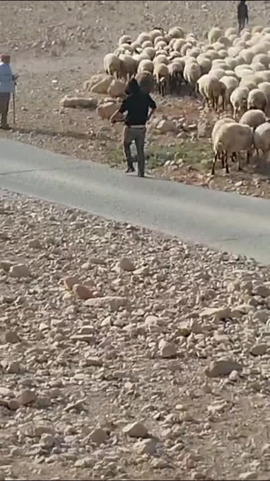 WhatsApp Video 2024-11-02 at 19.04.24