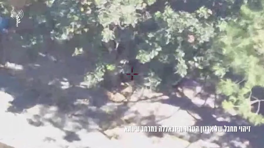 חיסול חיזבאללה