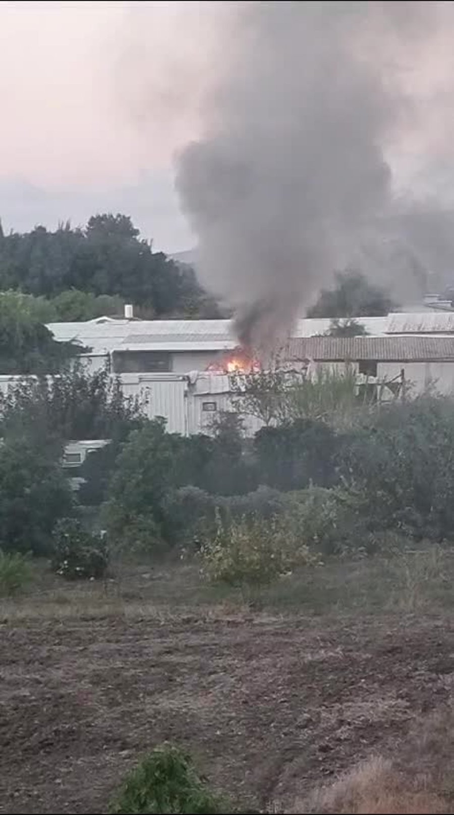 video (6)