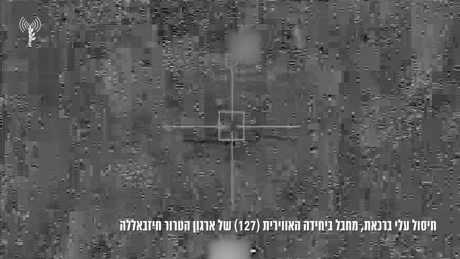 חיסול עלי ברכאת