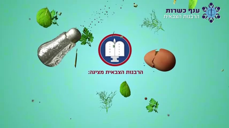 WhatsApp Video 2024-11-20 at 11.59.06