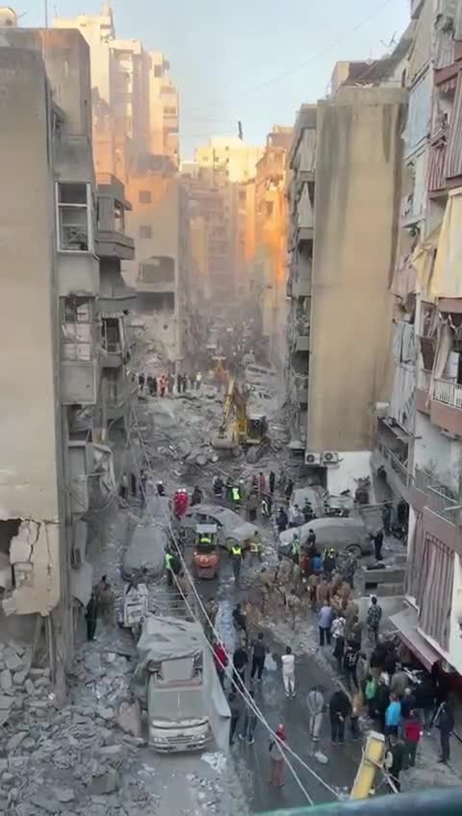 WhatsApp Video 2024-11-23 at 07.37.02