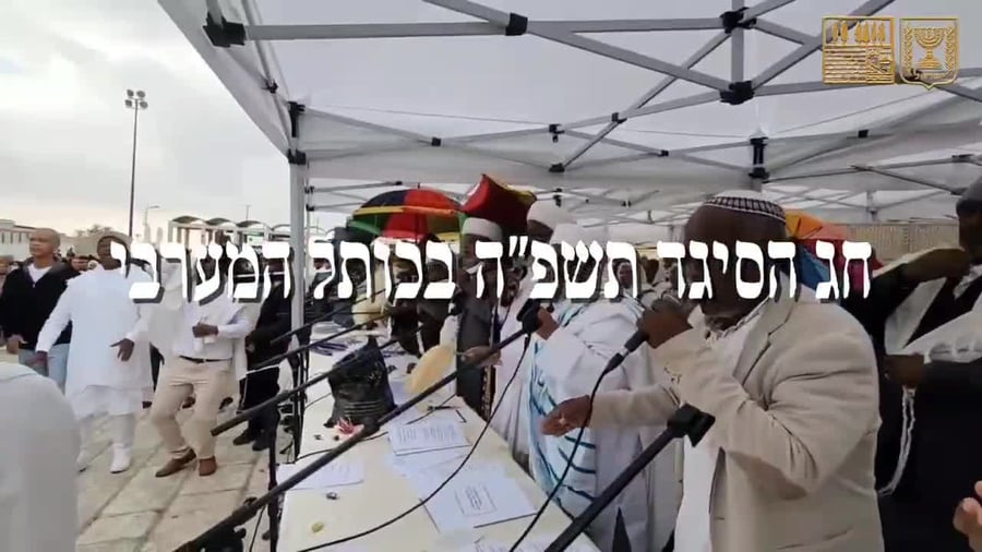 WhatsApp Video 2024-11-28 at 13.39.52