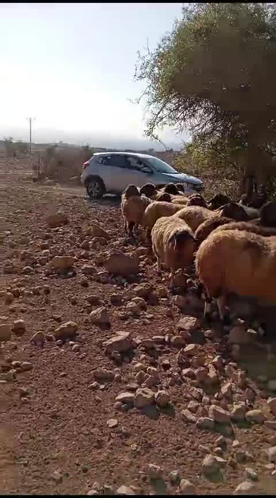 WhatsApp Video 2024-12-01 at 10.34.28