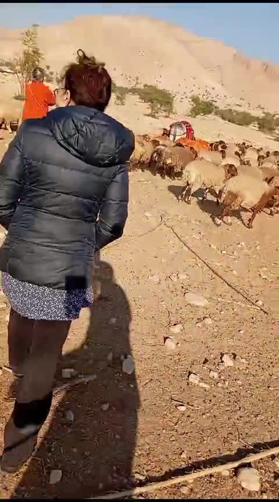 WhatsApp Video 2024-12-01 at 10.34.29