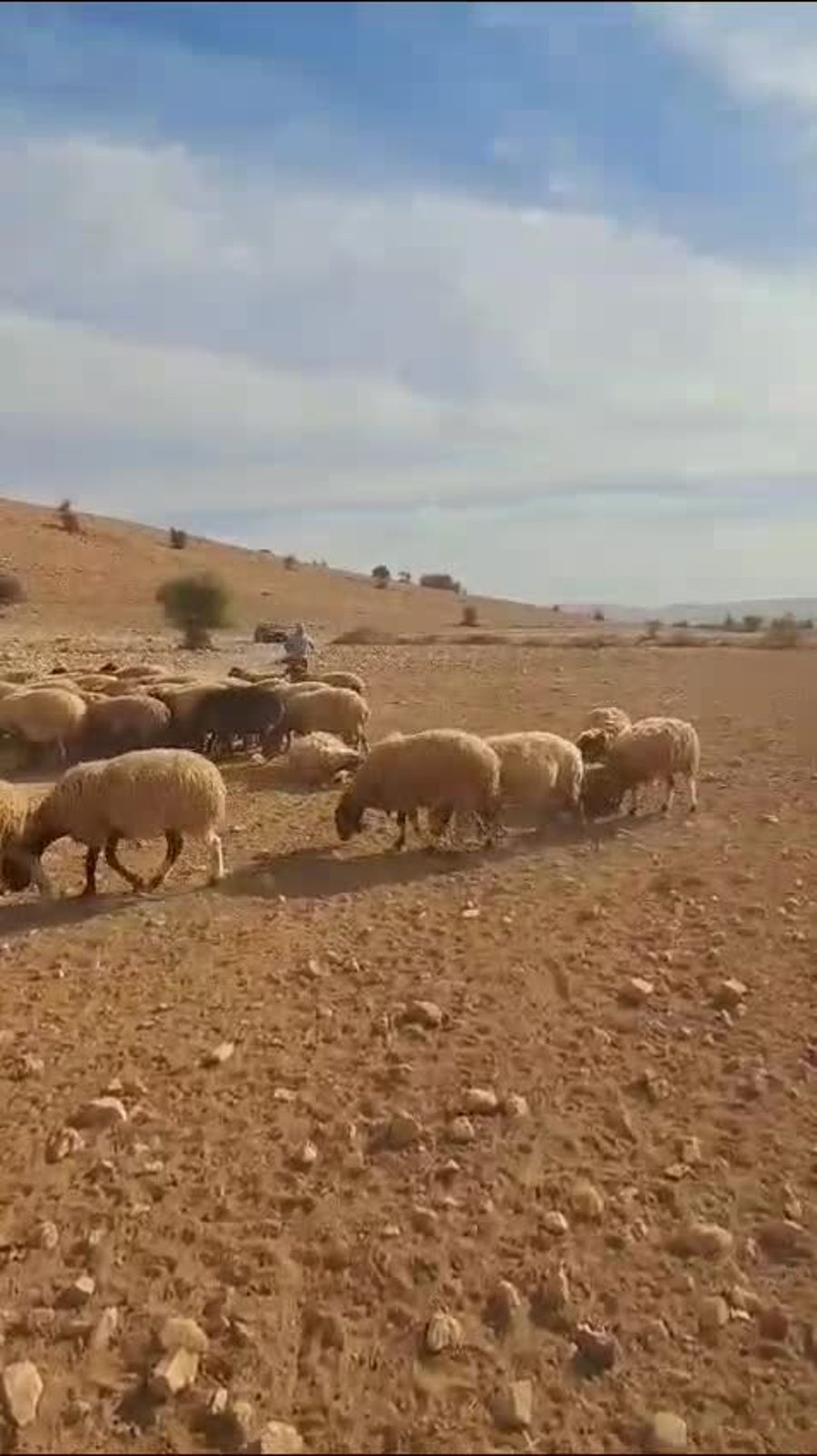 WhatsApp Video 2024-12-11 at 17.50.55