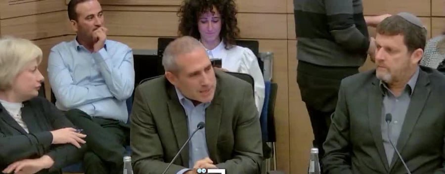 מיליבציקי על חוק פלדשטיין