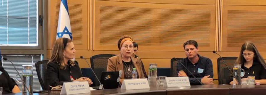 אורית סטרוק על מטרות המלחמה