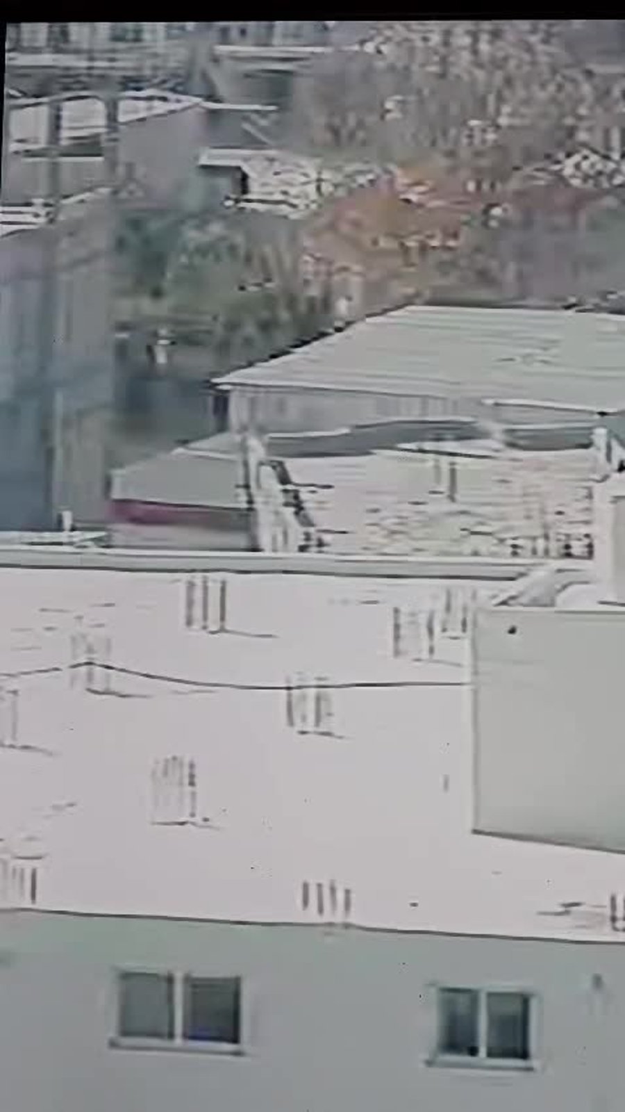 WhatsApp Video 2024-12-19 at 16.38.12
