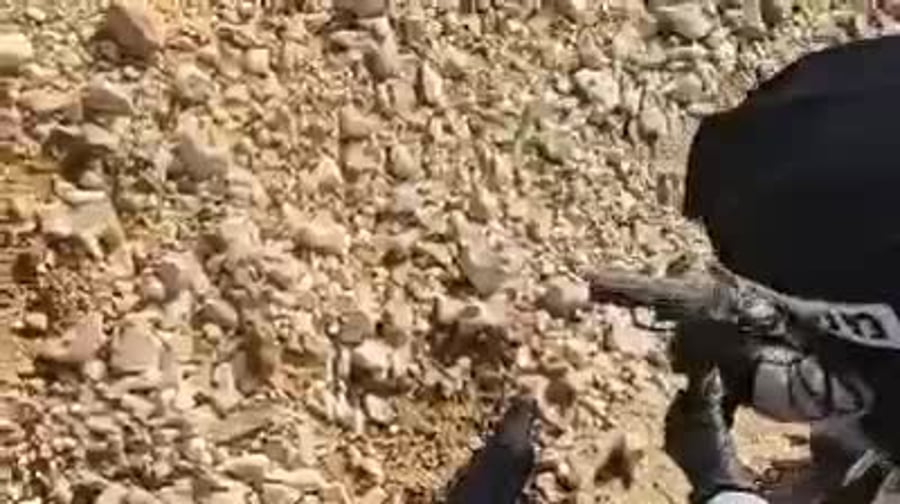 video5999133825685263657