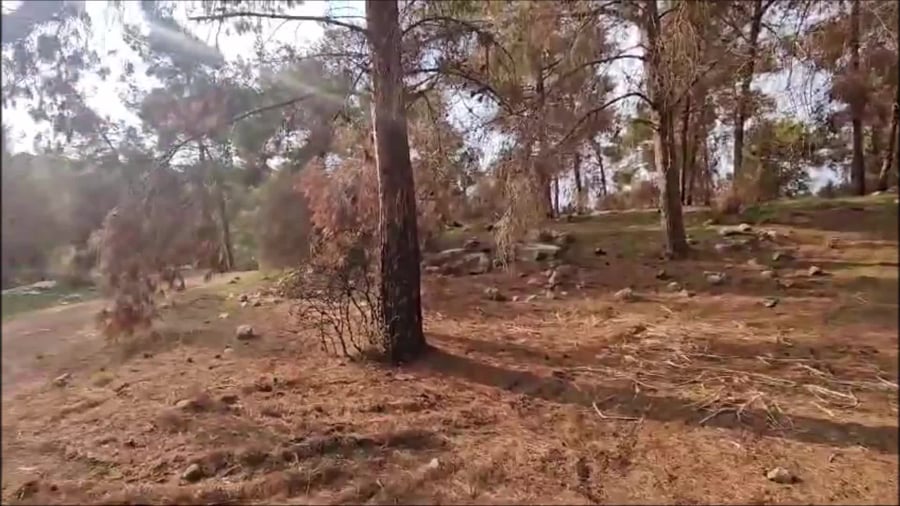 סרטון מהאתר. ברקע קולו של ניר דיסטלפלד מהיחידה למניעת שוד ברשות העתיקות