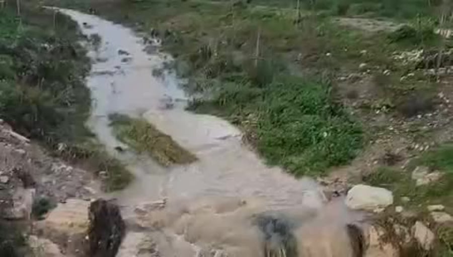 WhatsApp Video 2024-12-31 at 08.51.11