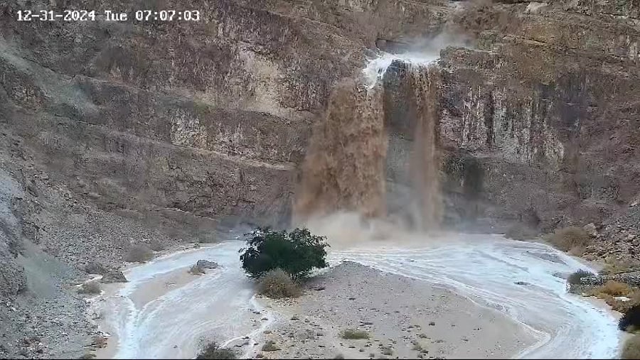 WhatsApp Video 2024-12-31 at 07.26.08