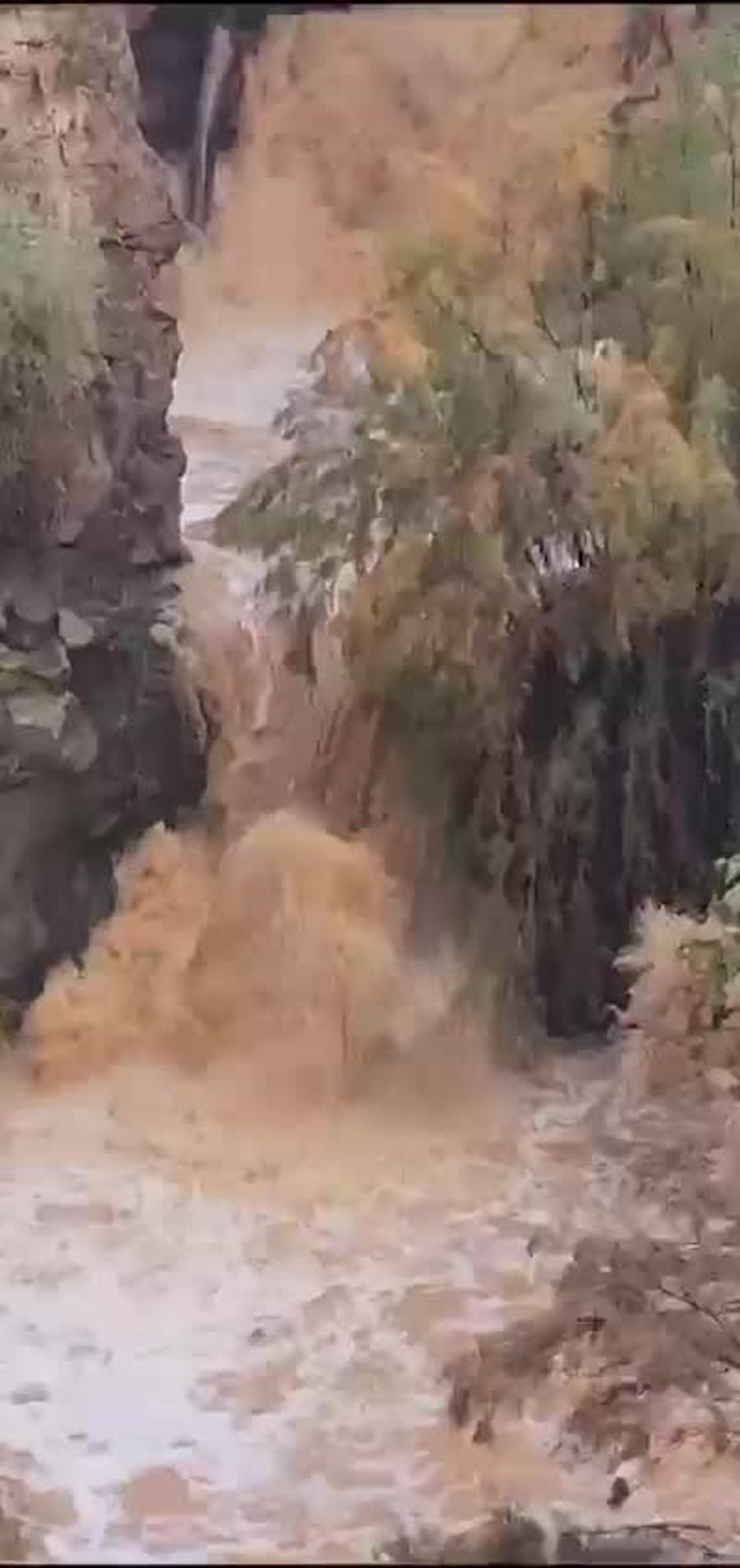 WhatsApp Video 2024-12-31 at 08.29.58