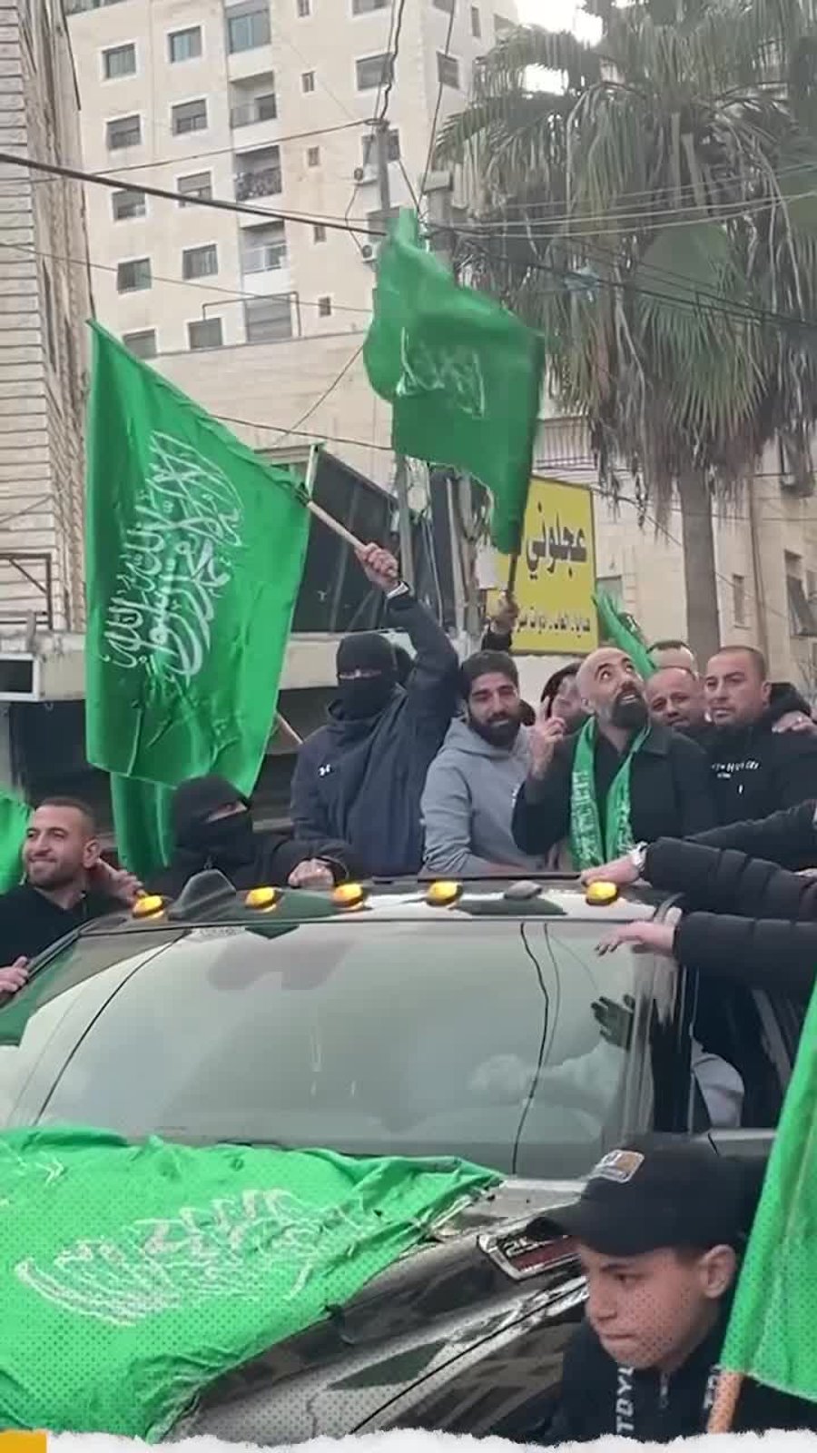 WhatsApp Video 2025-01-25 at 19.01.09 (1)