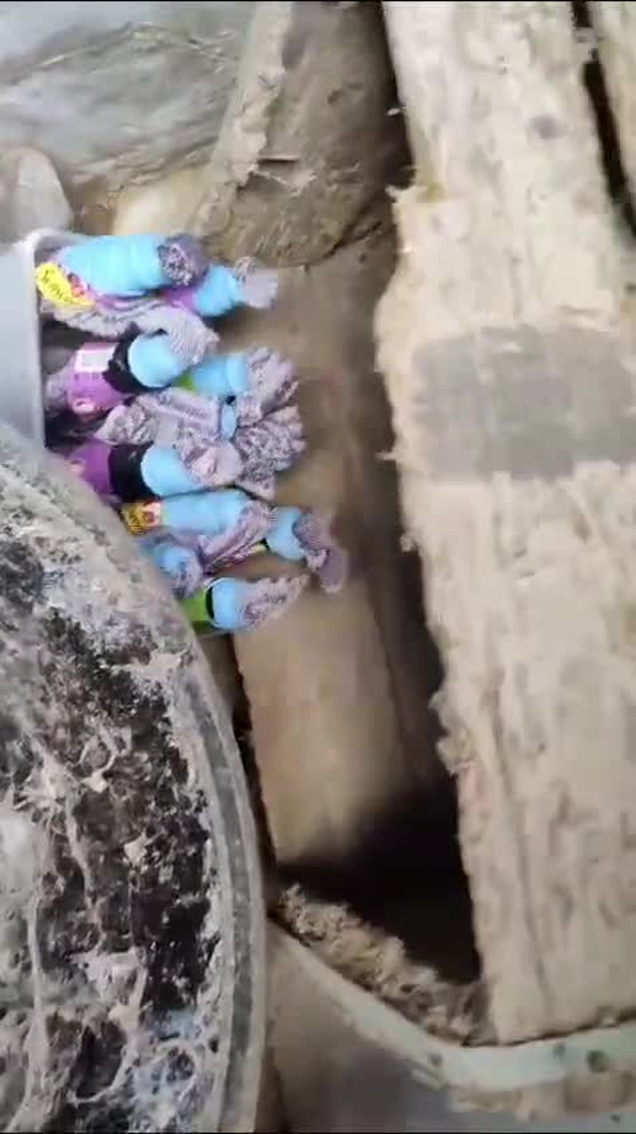 video5823431785962280165