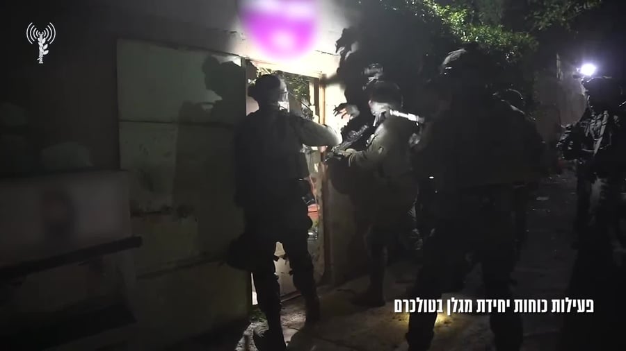 מגלן בטול כרם