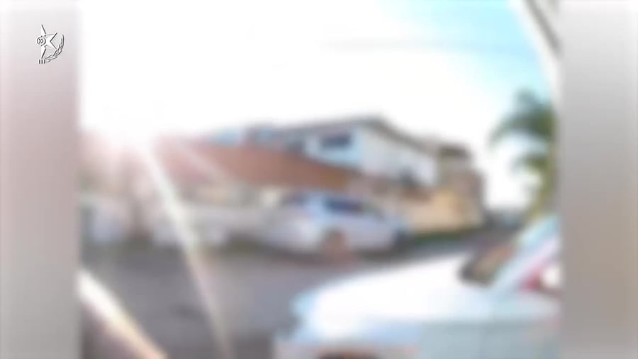 WhatsApp Video 2025-02-05 at 13.28.37